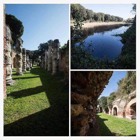 Giorgia Airport 2 Fiumicino B&B 외부 사진