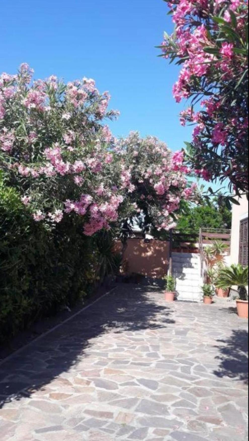 Giorgia Airport 2 Fiumicino B&B 외부 사진